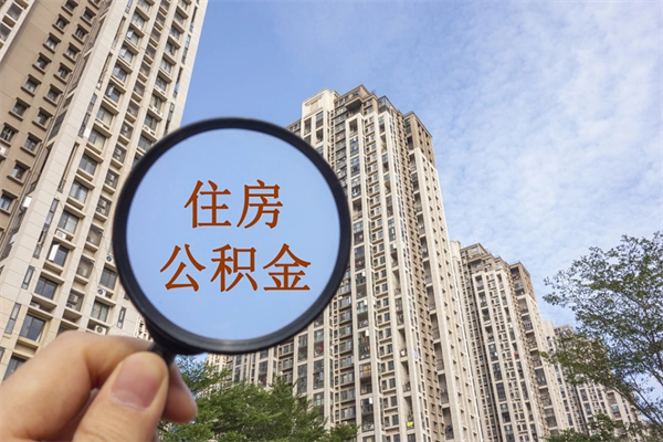 江门公积金新政今起实施（江门公积金新政出台）